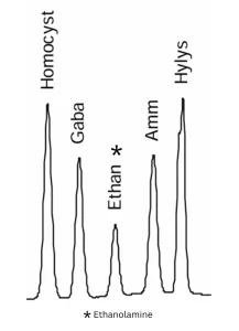Ethanolamine analysis - example of chromatogram showing excellent separation with other amino acids