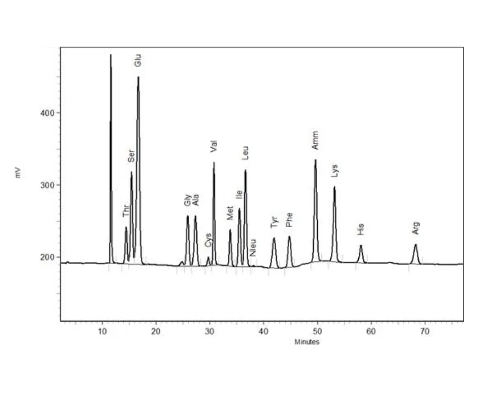 Chromatogram of casein