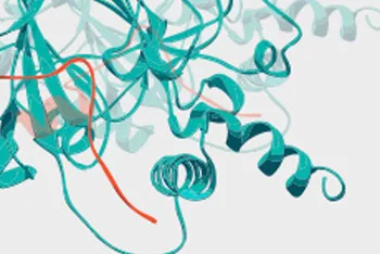 Histone Peptides Histone Peptides