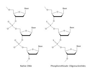 Peptide-Oligonucleotide Conjugates