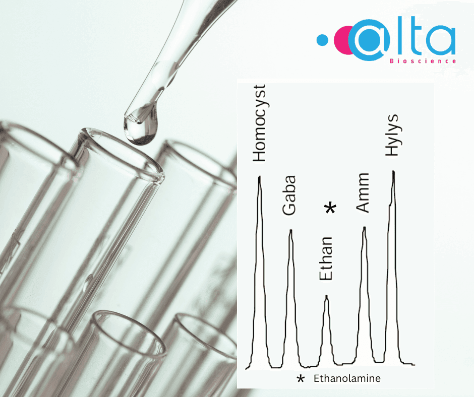 Ethanolamine Analysis for Cell Culture Optimisation in Cultured Meat Ethanolamine Analysis for Cell Culture Optimisation in Cultured Meat