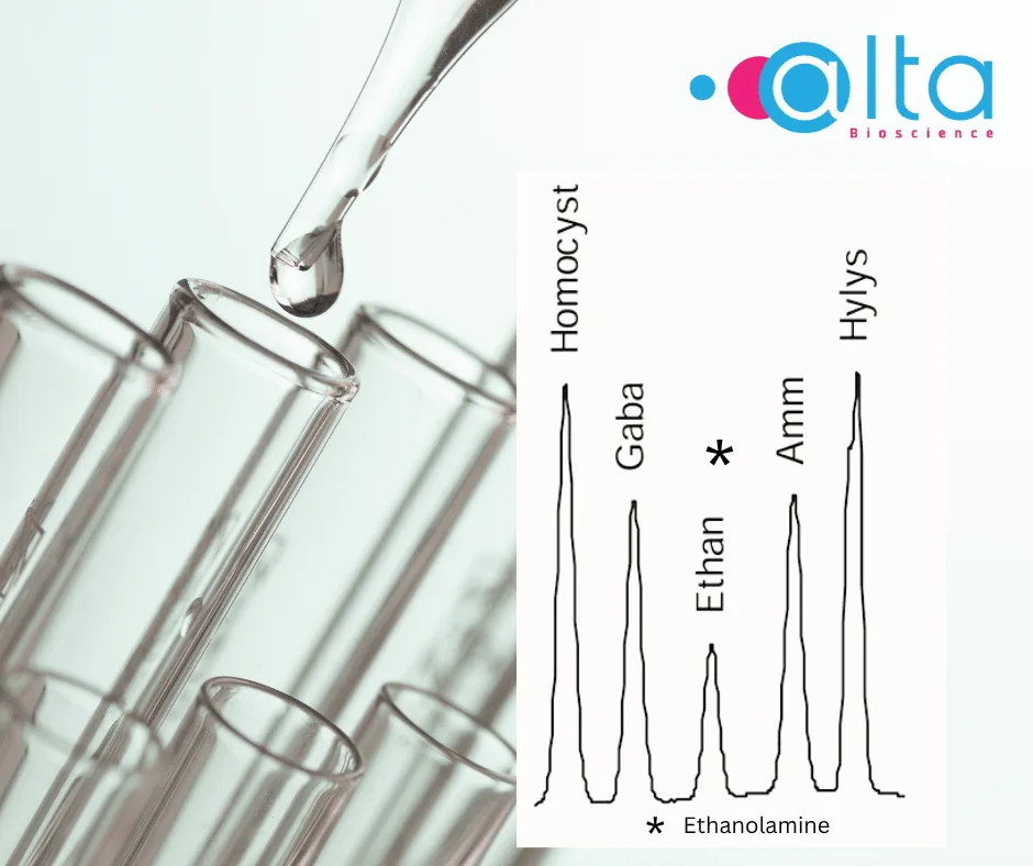 Ethanolamine Analysis for Cell Culture Optimisation in Cultured Meat  Ethanolamine Analysis for Cell Culture Optimisation in Cultured Meat