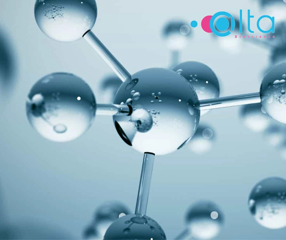 Fluorescent peptides