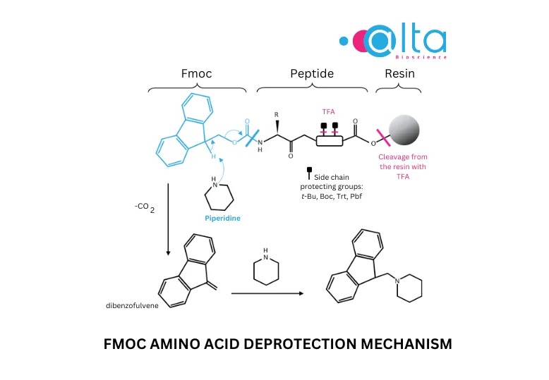 Fmoc Amino Acids for Solid-Phase Peptide Synthesis - AltaBioscience