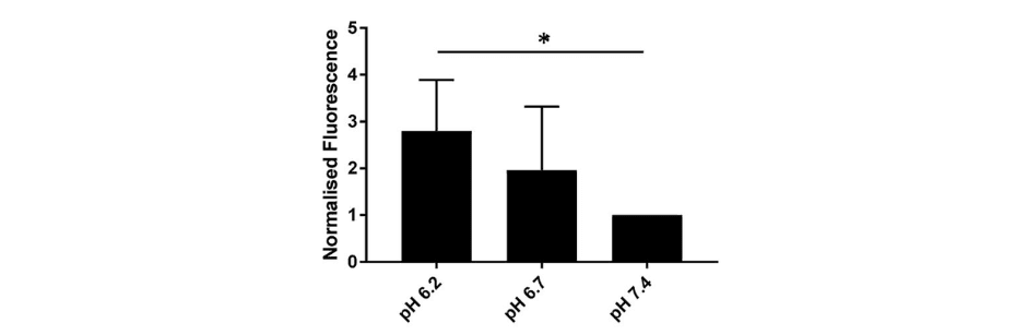 Modified endpoint CF assay undertaken with altered external buffer pH as indicated.