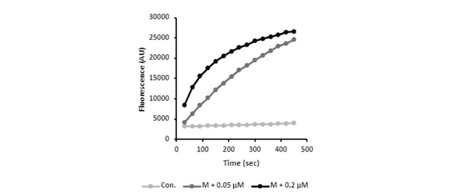 Real-time CF assay data for M synthetic peptides in ‘virion-sized’ liposomes, produced by extrusion through a 0.05-μm, rather than a 0.2-μm filter.