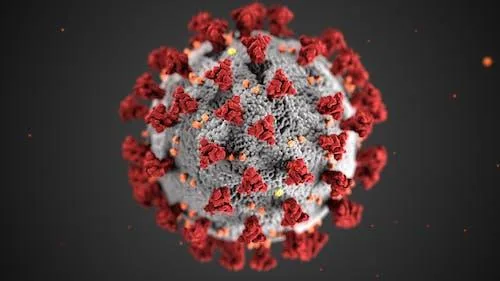 Influenza virus peptides
