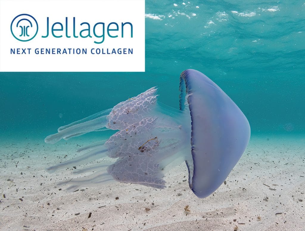 Optimising Amino Acid Analysis for Jellagen’s Revolutionary Collagen-Based Products Optimising Amino Acid Analysis for Jellagen’s Revolutionary Collagen-Based Products