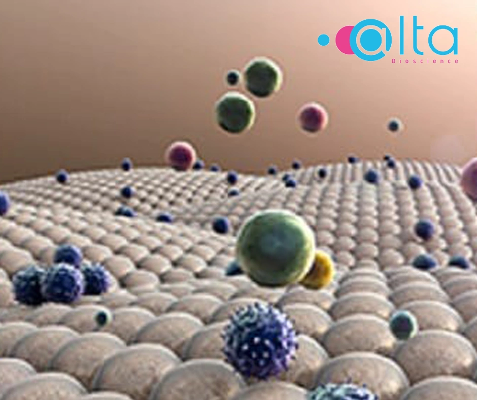 Custom Monoclonal Antibody Generation Custom Monoclonal Antibody Generation