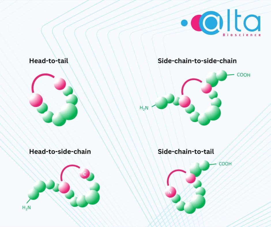 Peptide Cyclisation Methods