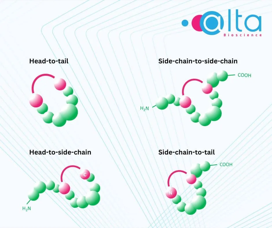 Peptide Cyclisation Methods