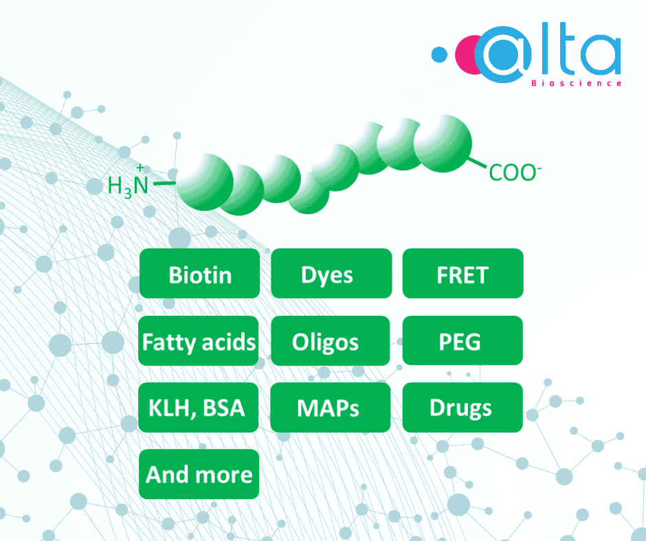 Peptide Conjugation – An Overview of Peptide Conjugates