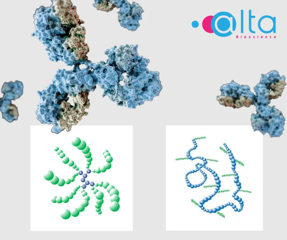 Peptides for Raising Antibodies Peptides for Raising Antibodies