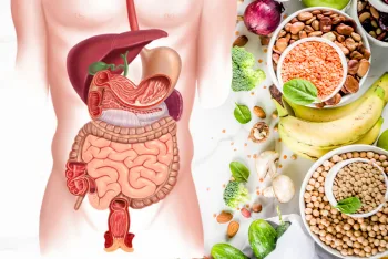 Protein Digestibility
