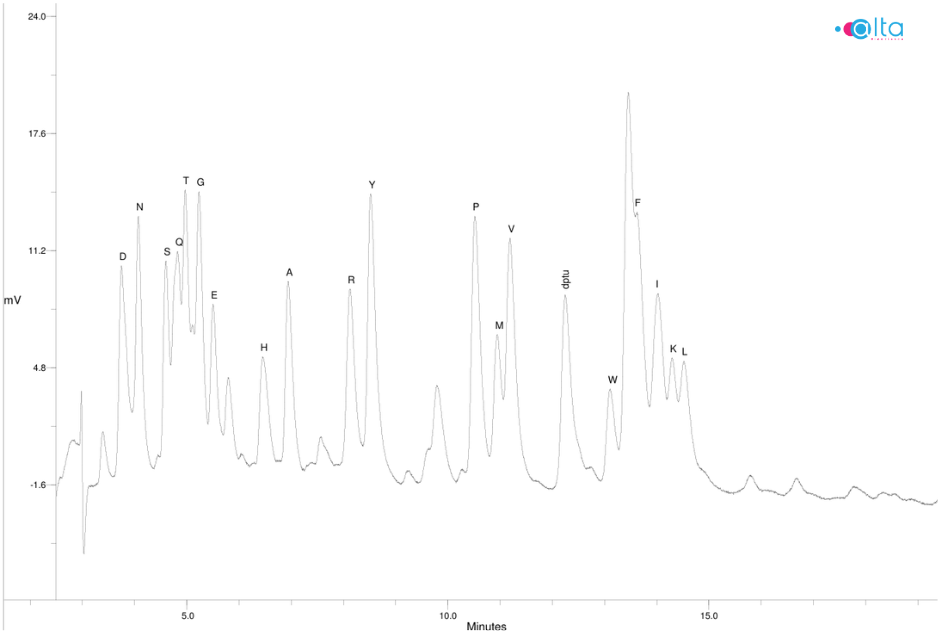 HPLC chromatogram of the PTH-amino acid calibration standard used before protein sequencing via Edman degradation sequencing.