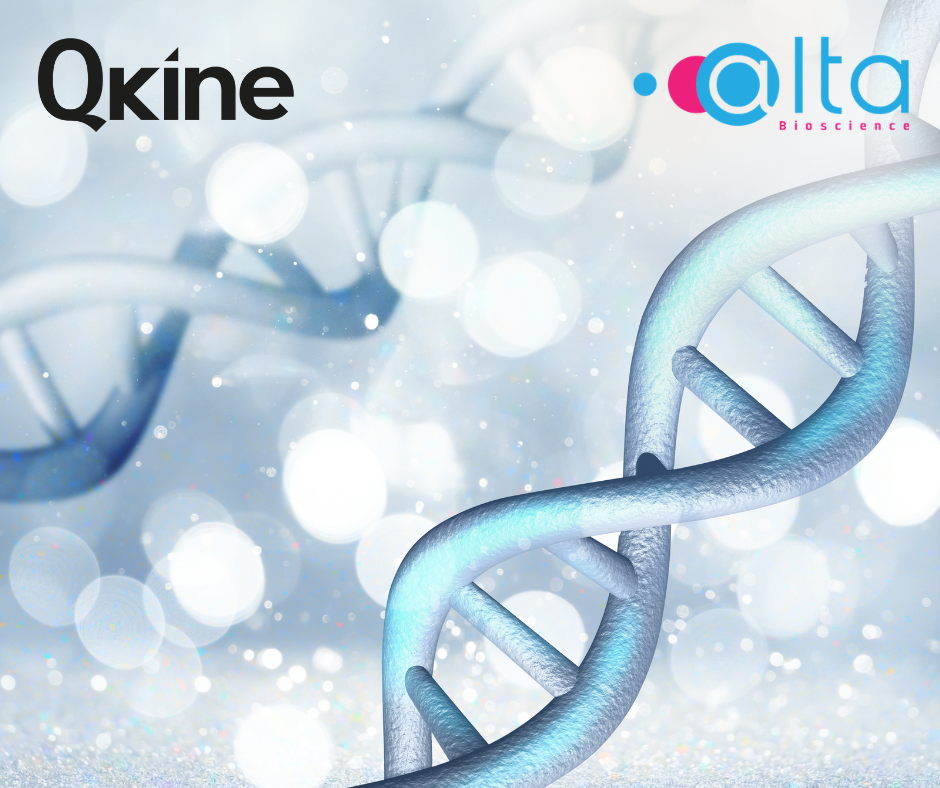 Validation of Qkine’s Recombinant Proteins for Cell & Gene Therapy Applications Using N-Terminal Protein Sequencing via Edman Degradation