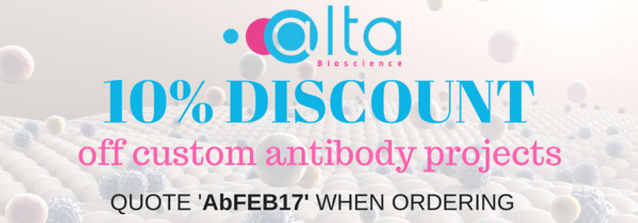 10% Discount for Custom Antibody Services 10% Discount for Custom Antibody Services