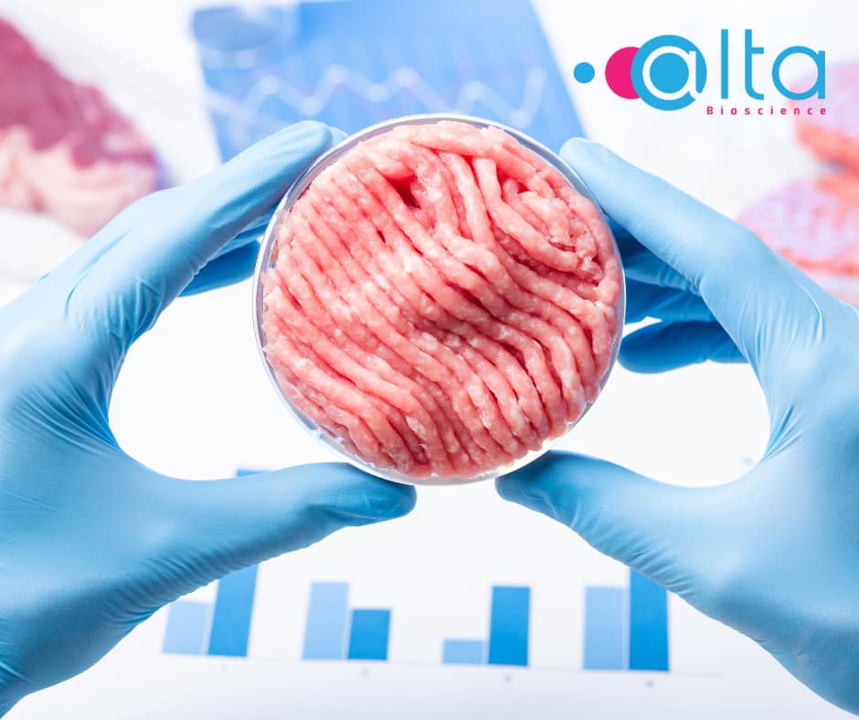 Cultured meat tested by amino acid analysis to determine the amino acid profile and optimise cell growth conditions.