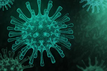 Coronavirus: Peptide synthesis service and sending samples for analysis