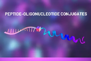 DNA Peptide Conjugates DNA Peptide Conjugates