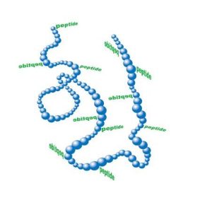 Peptide-protein conjugate