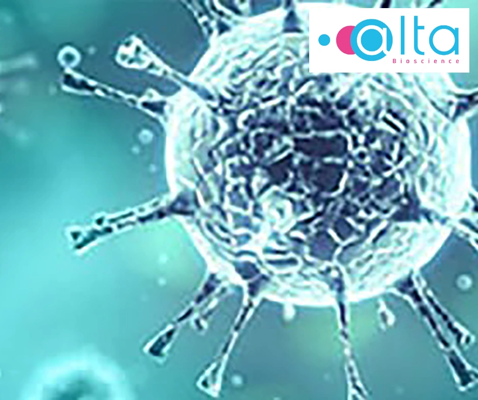 Custom Polyclonal Antibody Generation Custom Polyclonal Antibody Generation